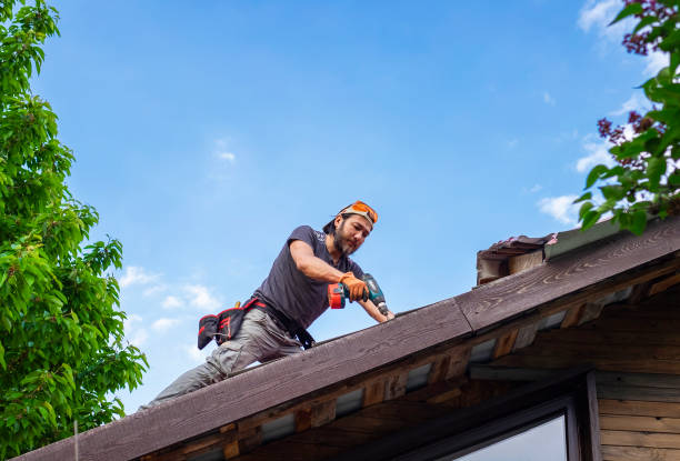 Best Rubber Roofing (EPDM, TPO)  in Ferrysburg, MI